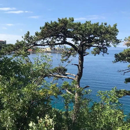 Apartamento Zeleno I Plavo *